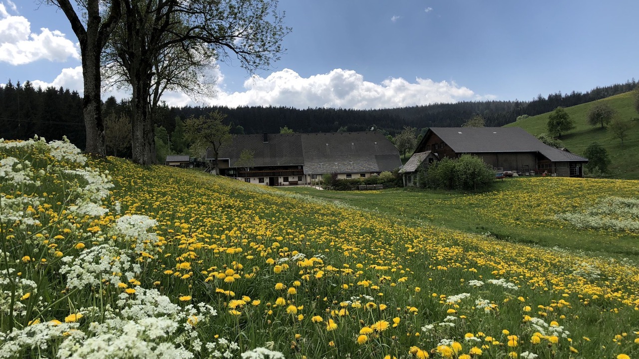 Photo of Outdoor in Breitnau