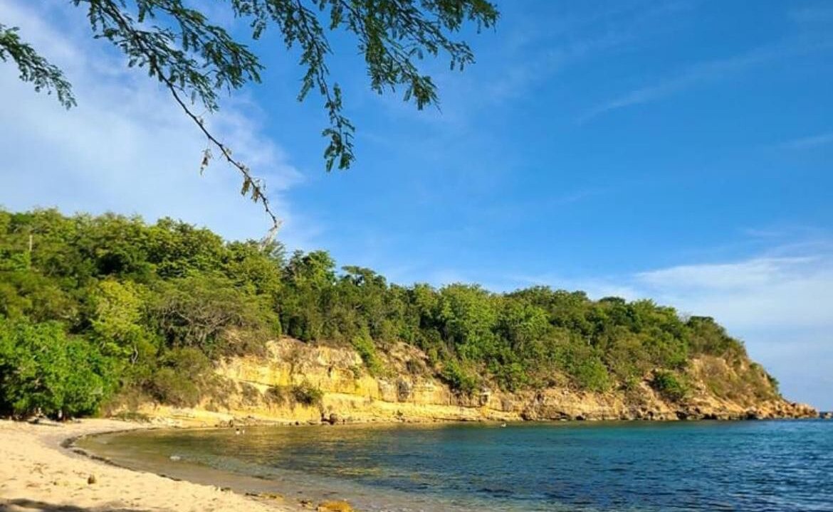 Photo of Others in Guanica