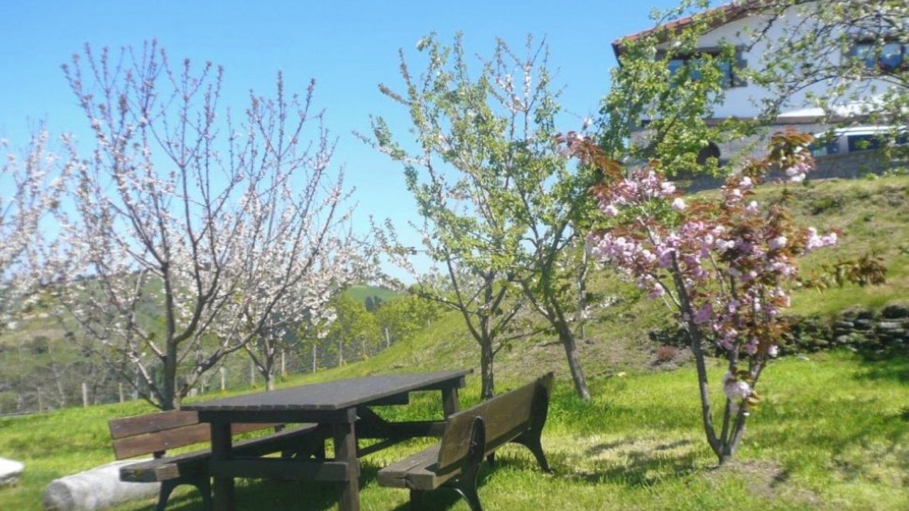 Photo of Outdoor in Deba