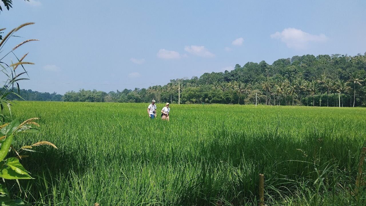 Photo of Others in Muttil South