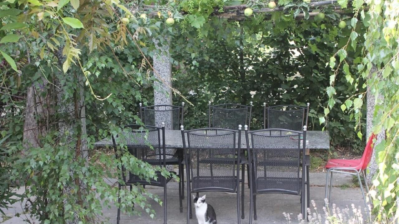 Photo of Outdoor in Chalais
