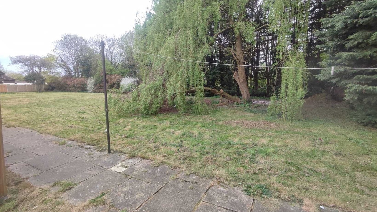 Photo of Others in Runnymede