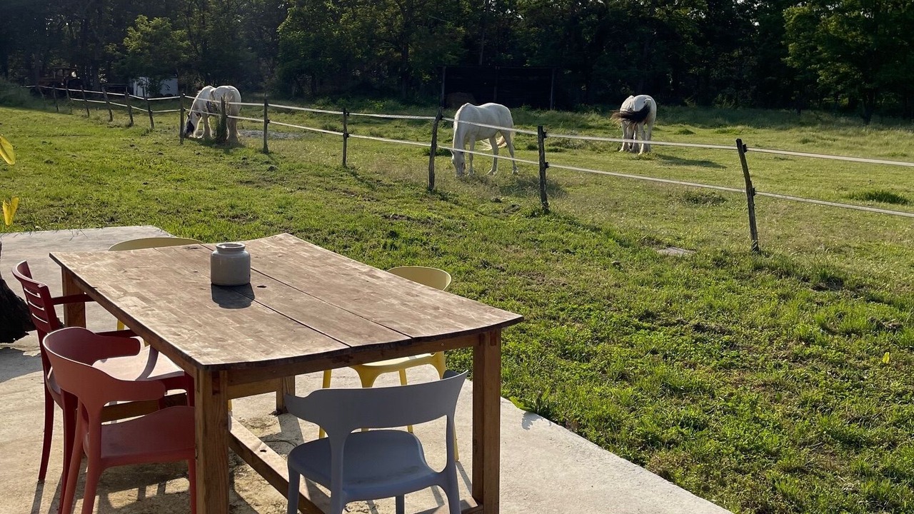 Photo of Outdoor in Le Pian-Medoc