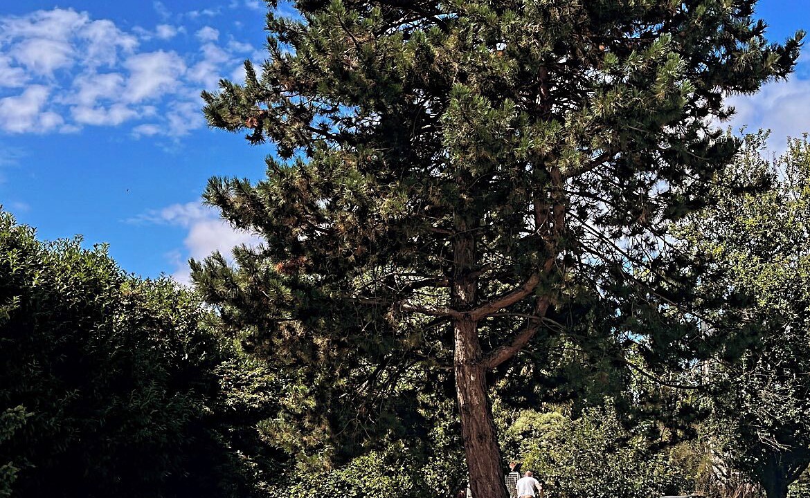 Photo of Outdoor in Ouistreham