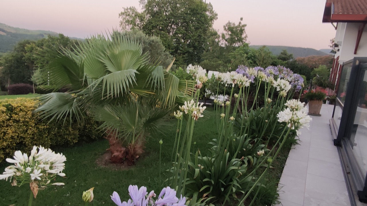 Photo of Outdoor in Itxassou