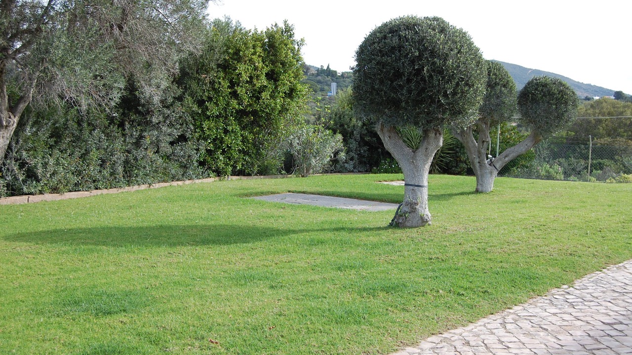 Photo of Outdoor in Charneca