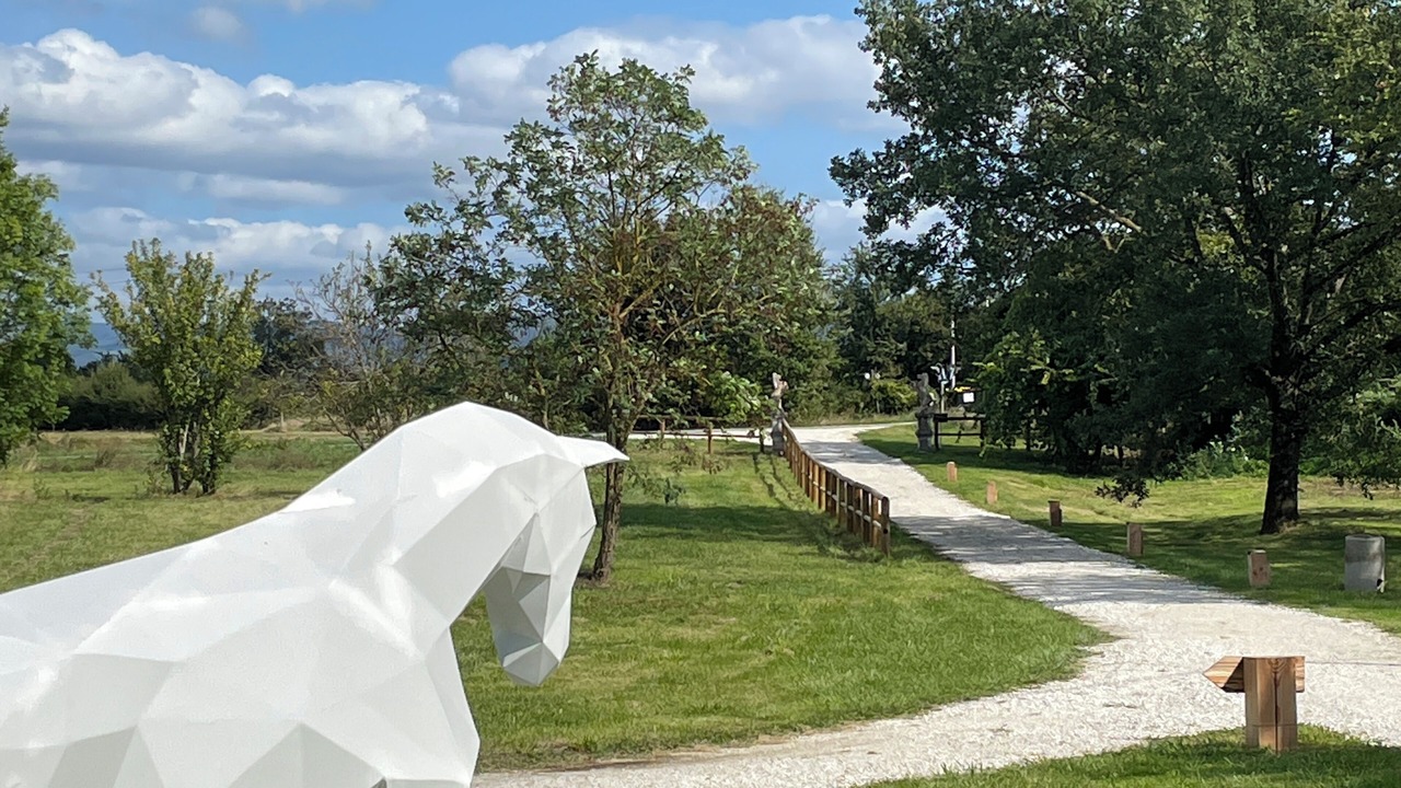 Photo of Others in Saint-Felix-Lauragais