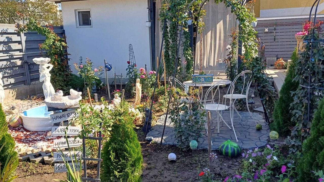 Photo of Outdoor in Vanatori