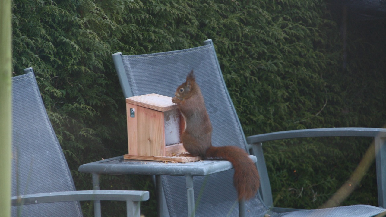 Photo of Others in Voorthuizen