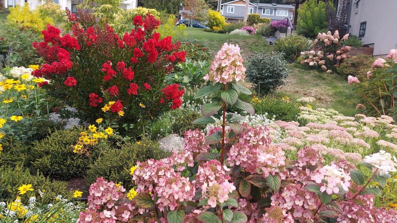 Photo of Outdoor in Newton
