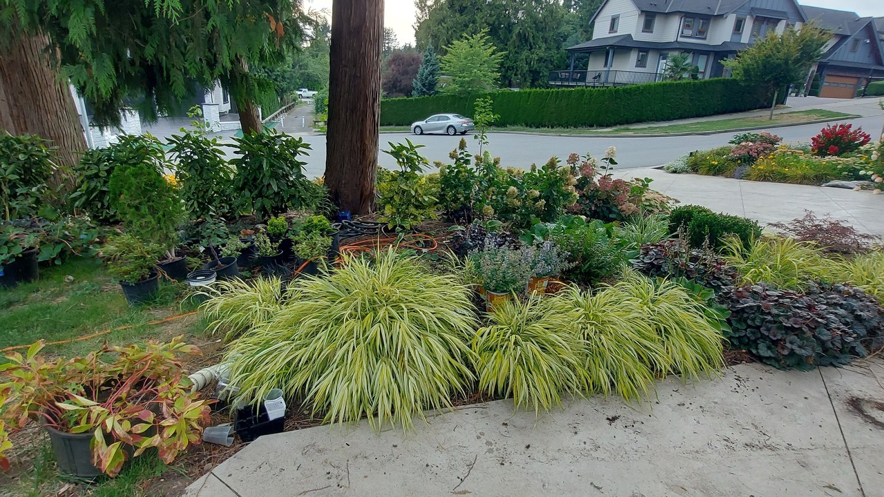 Photo of Outdoor in Newton