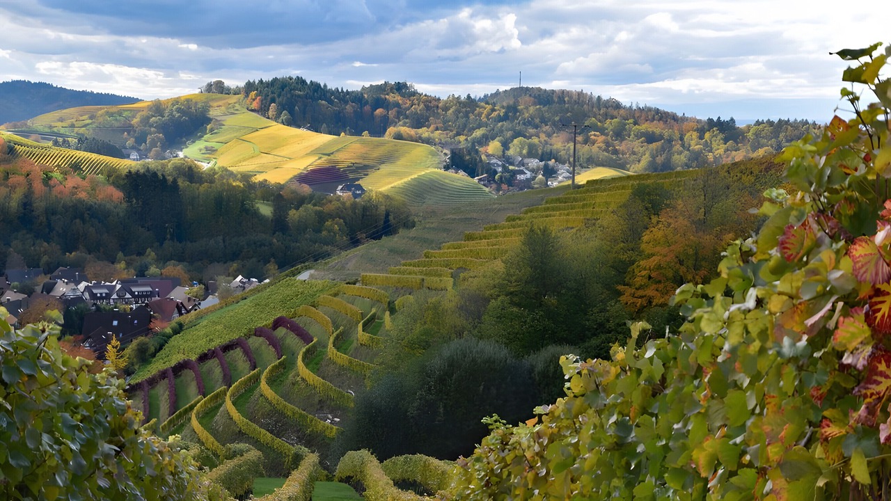 Photo of Others in Sasbachwalden