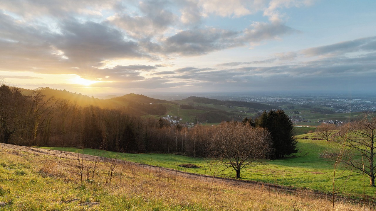 Photo of Others in Sasbachwalden