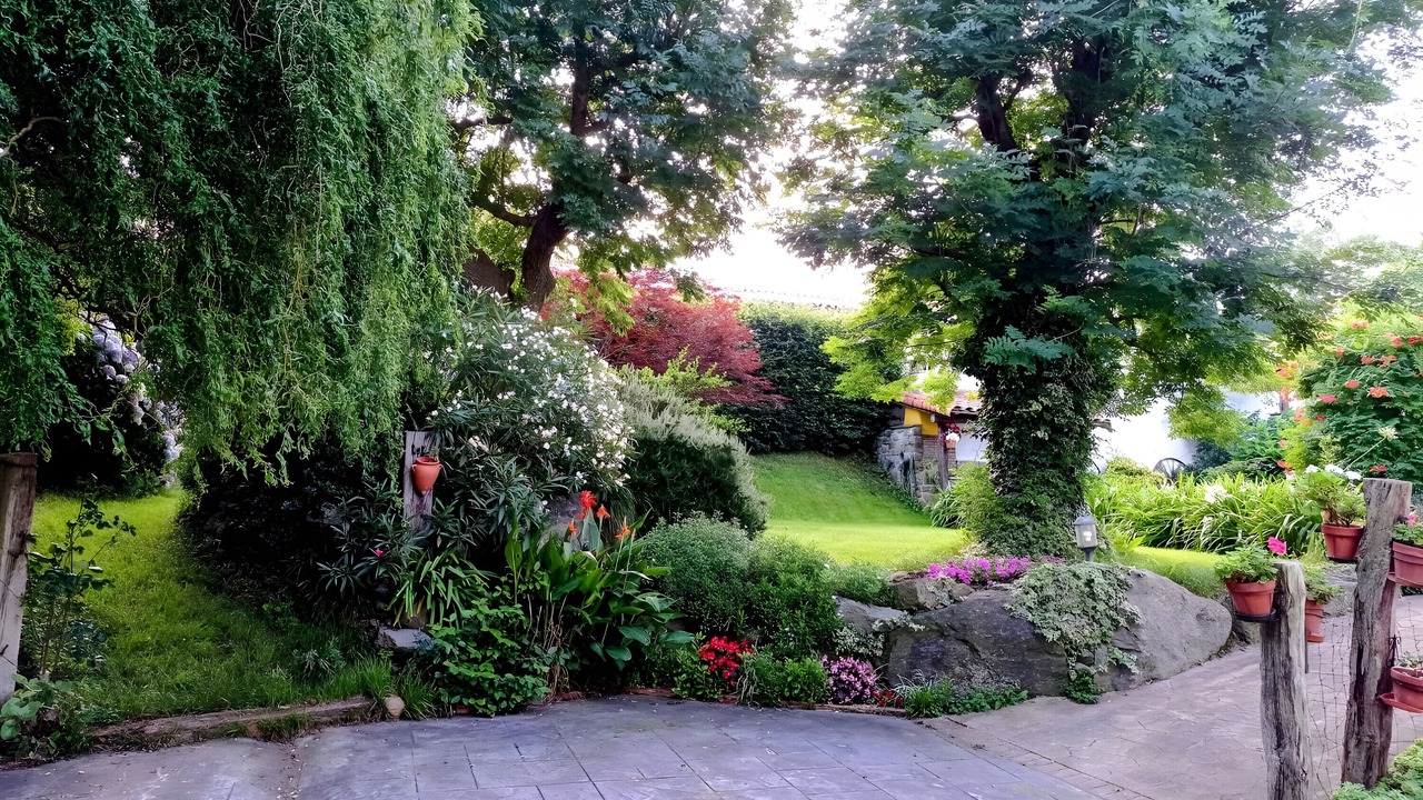 Photo of Outdoor in Olaskoegia