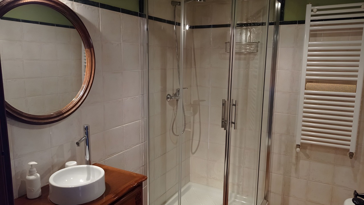 Photo of Bathroom in Olaskoegia