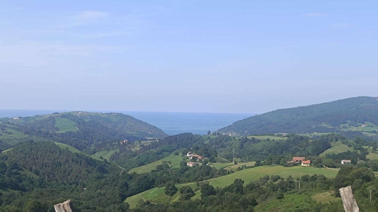 Photo of Others in Olaskoegia