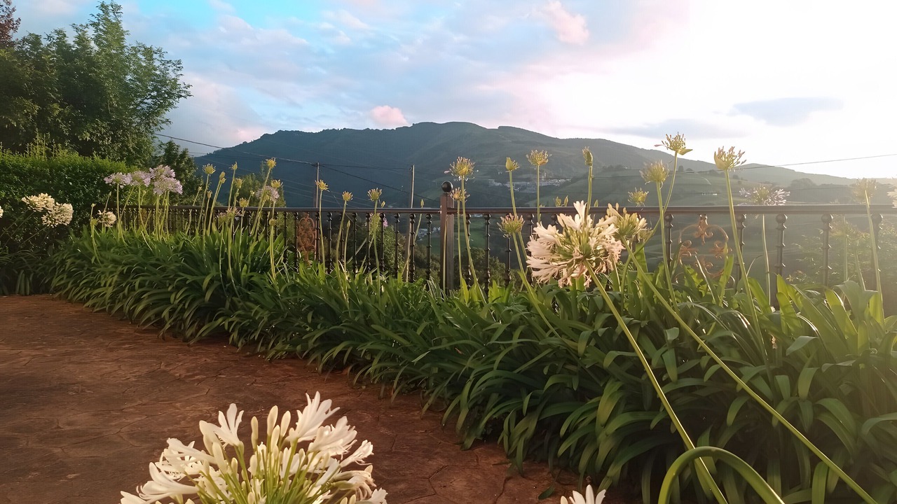 Photo of Outdoor in Olaskoegia