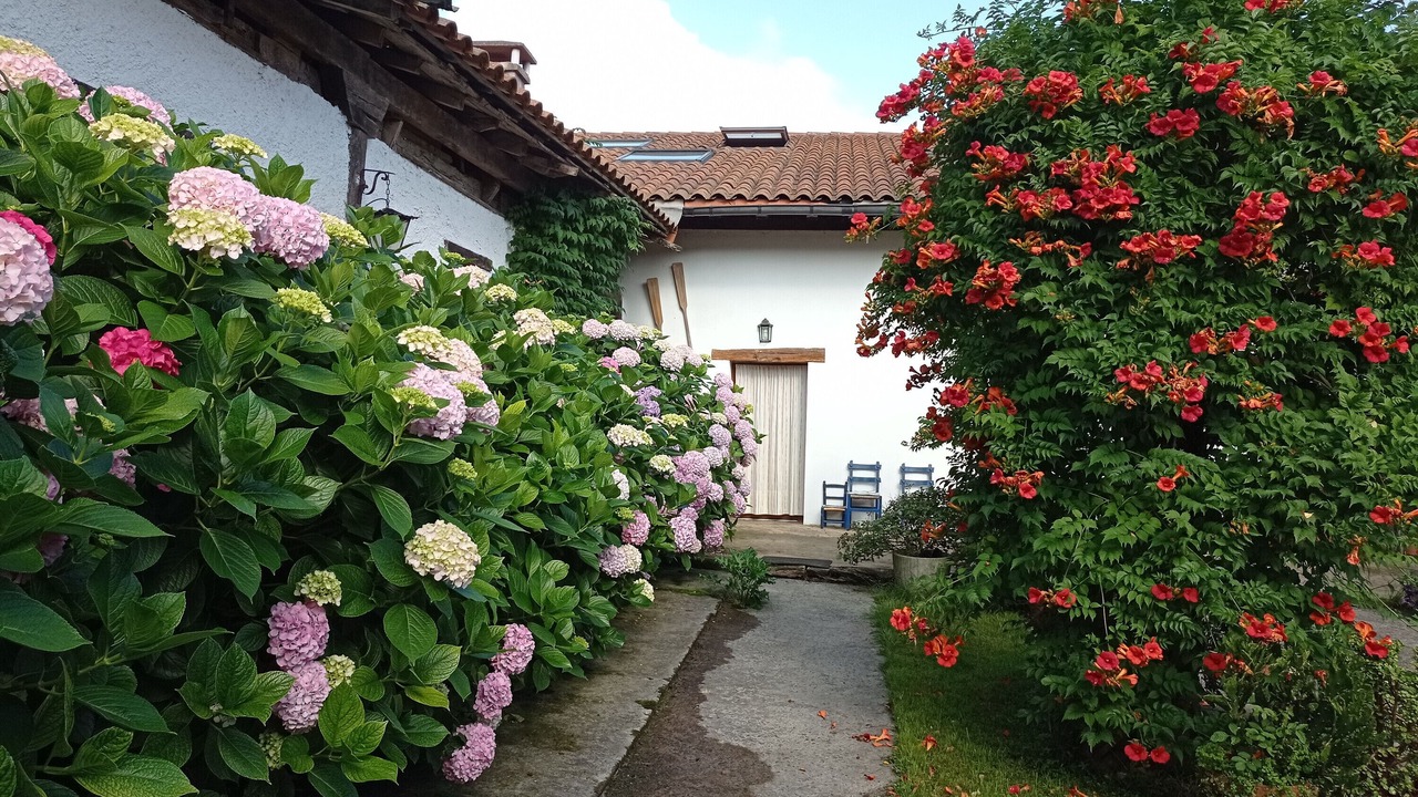 Photo of Outdoor in Olaskoegia