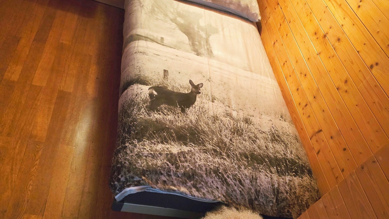 Photo of Bedroom in Champex-Lac