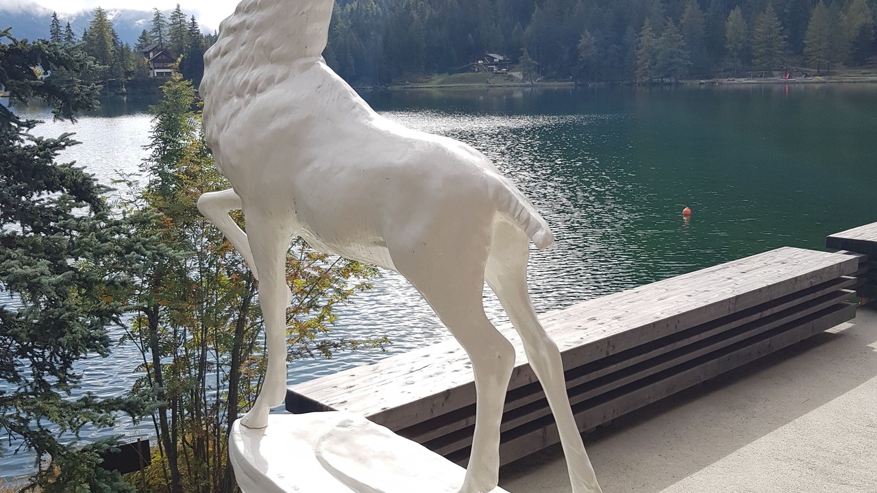 Photo of Others in Champex-Lac