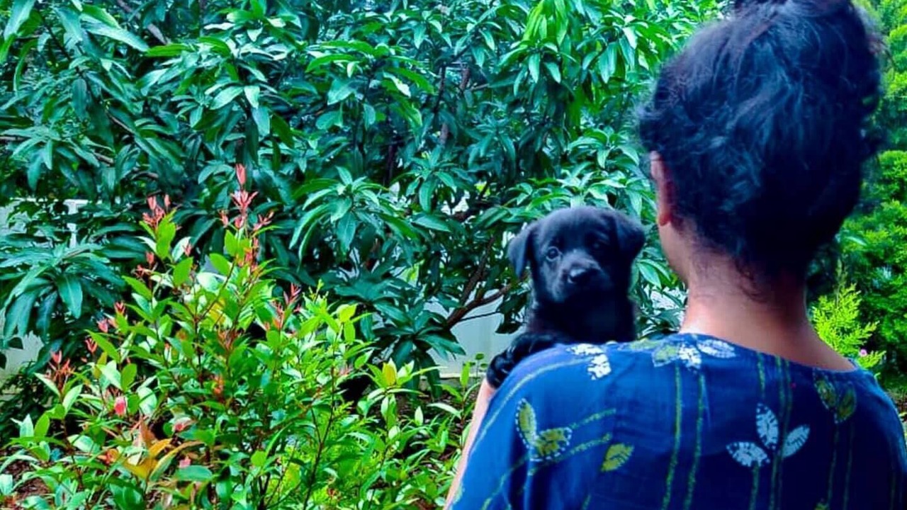 Photo of Outdoor in Neyyattinkara