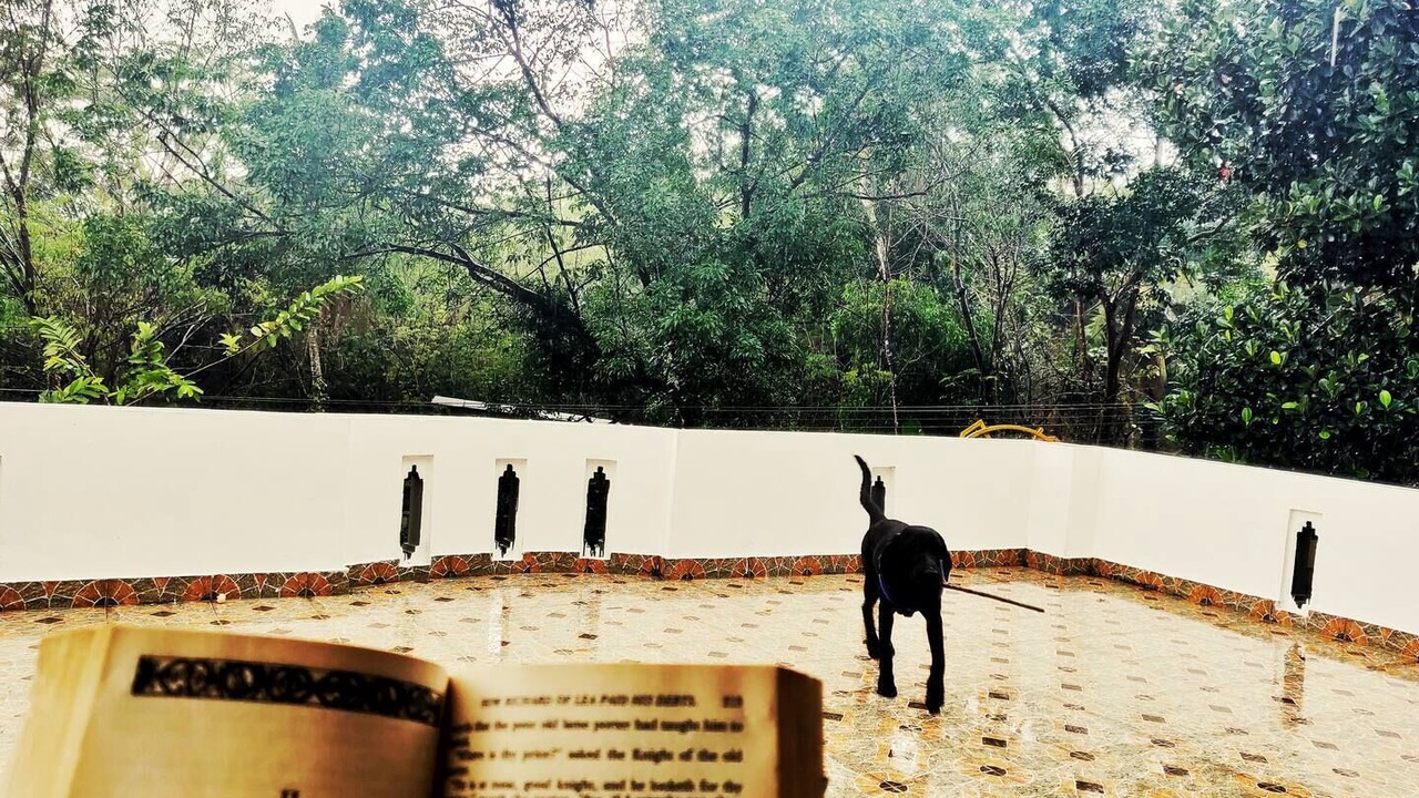 Photo of Outdoor in Neyyattinkara