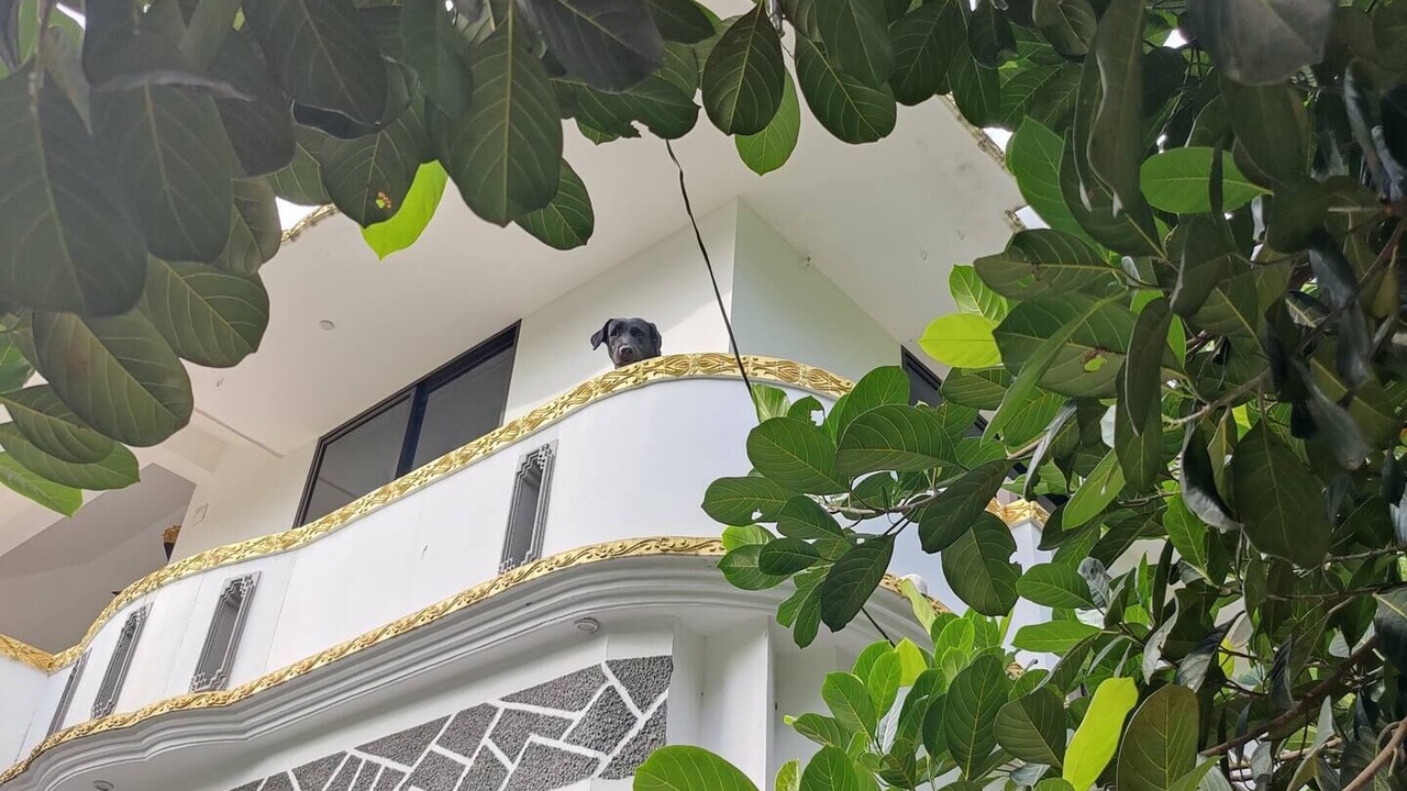 Photo of Outdoor in Neyyattinkara