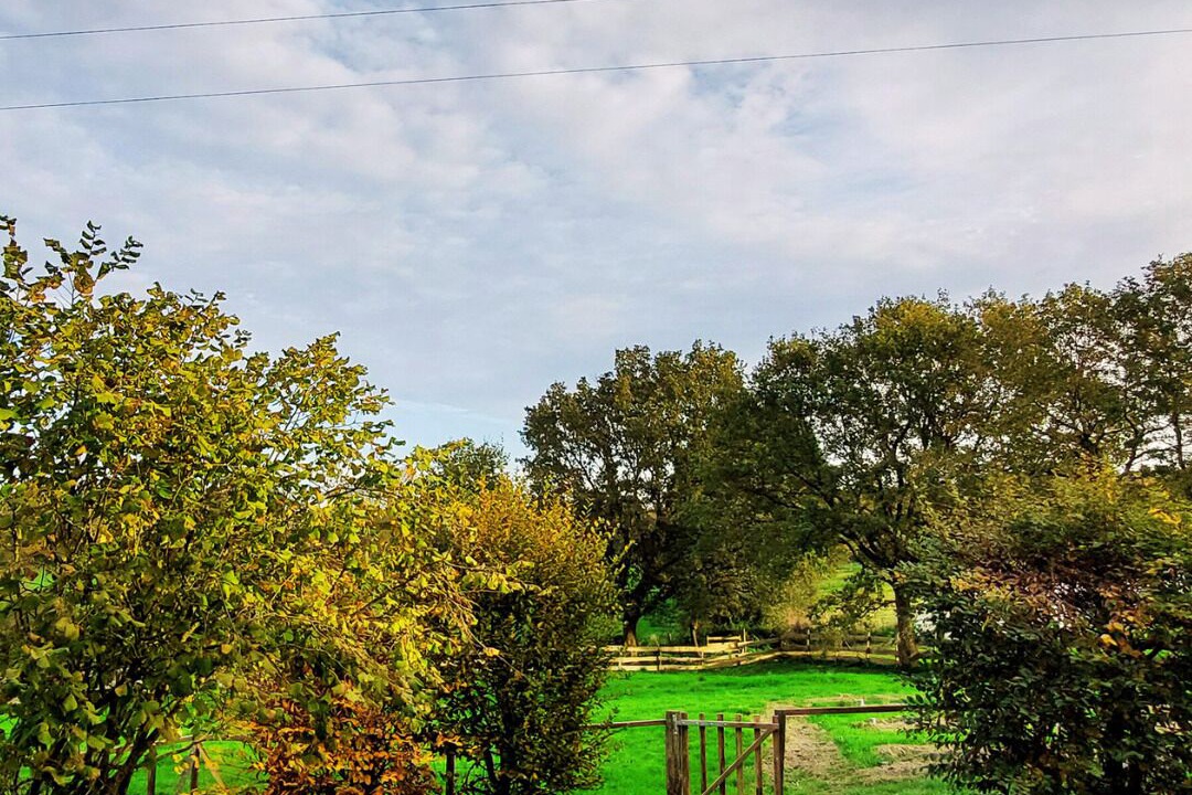 Photo of Others in Le Poire-sur-Vie