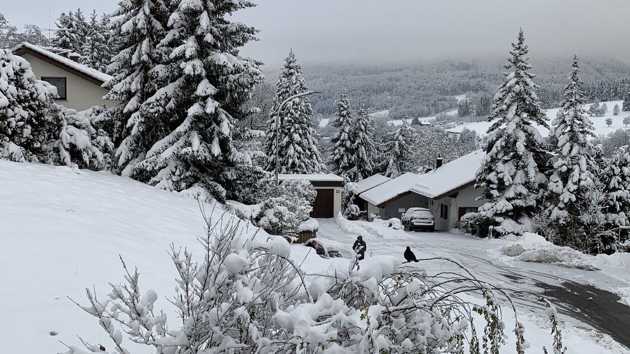 Photo of Outdoor in Gemarkung Laufen an der Eyach