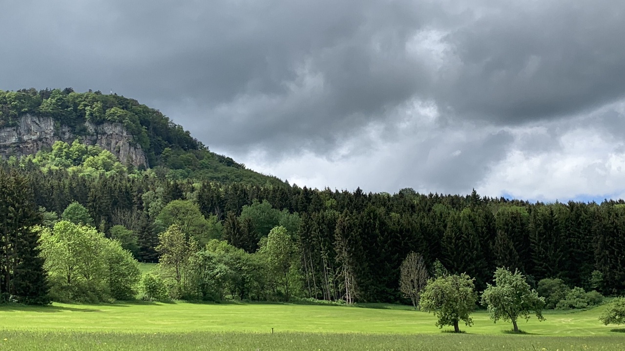 Photo of Others in Gemarkung Laufen an der Eyach