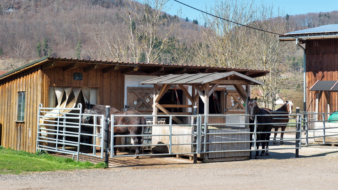 Photo of Others in Gemarkung Oberdigisheim