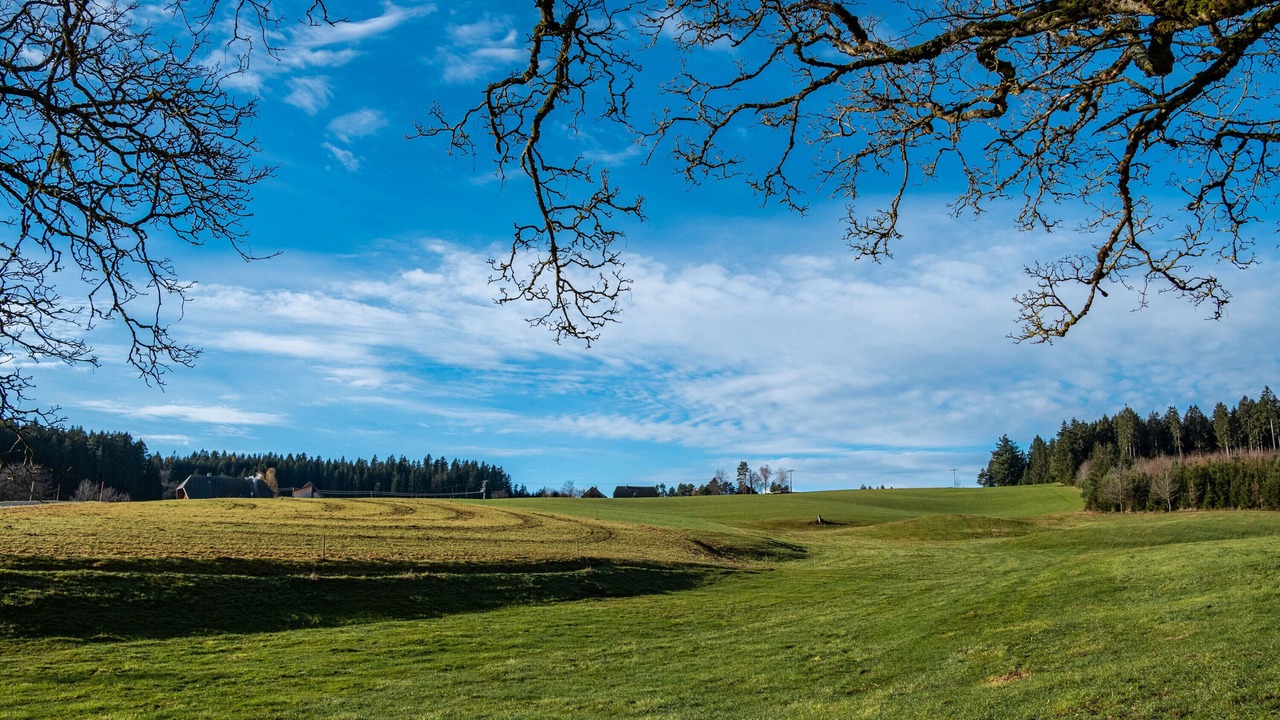 Photo of Others in Sankt Georgen im Schwarzwald