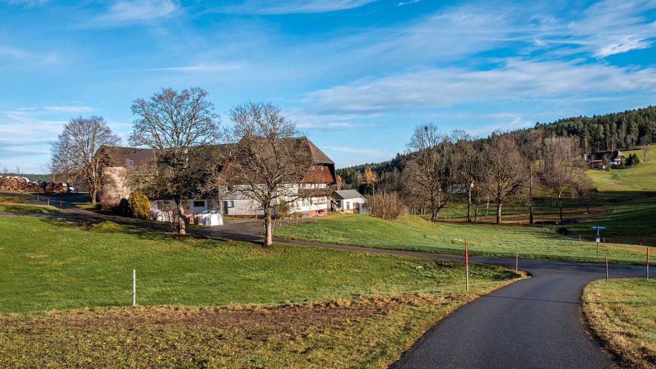 Photo of Others in Sankt Georgen im Schwarzwald