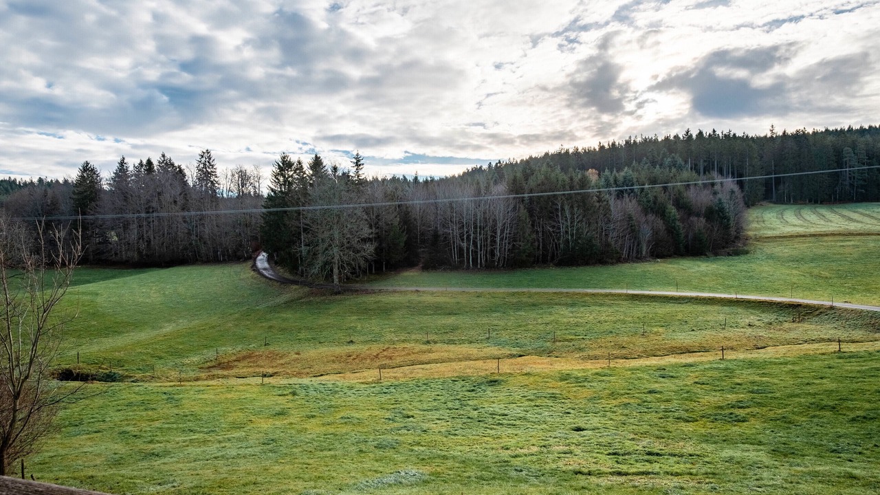 Photo of Others in Sankt Georgen im Schwarzwald