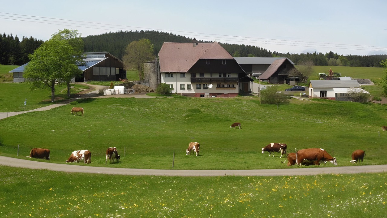 Photo of Others in Sankt Georgen im Schwarzwald