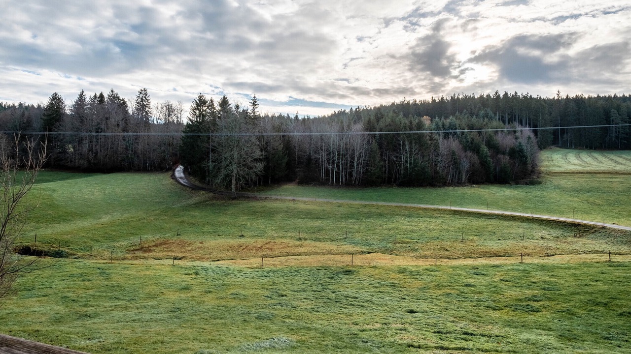 Photo of Others in Sankt Georgen im Schwarzwald