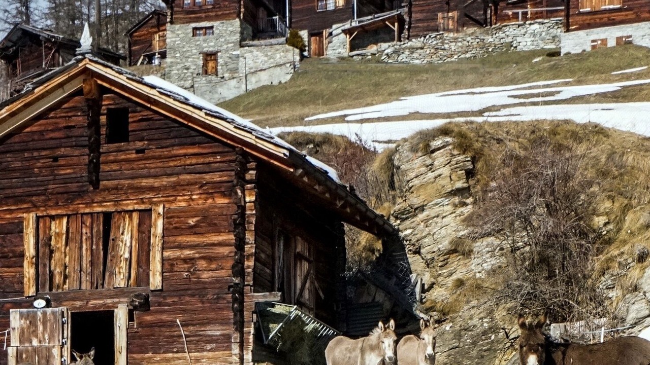 Photo of Outdoor in Toerbel