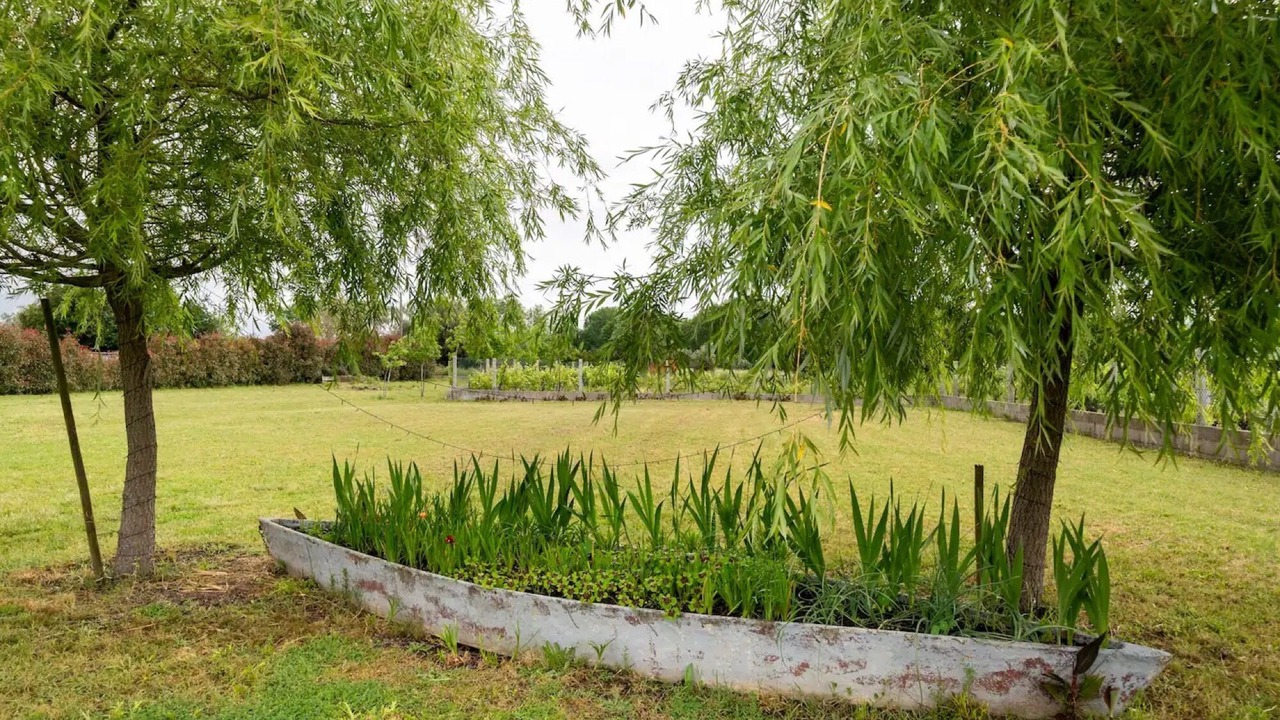 Photo of Outdoor in Fermentelos