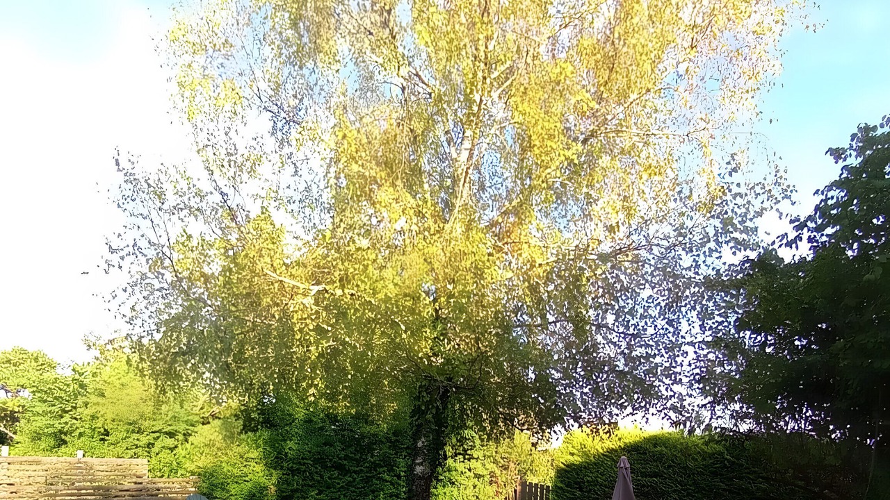 Photo of Outdoor in Riberac
