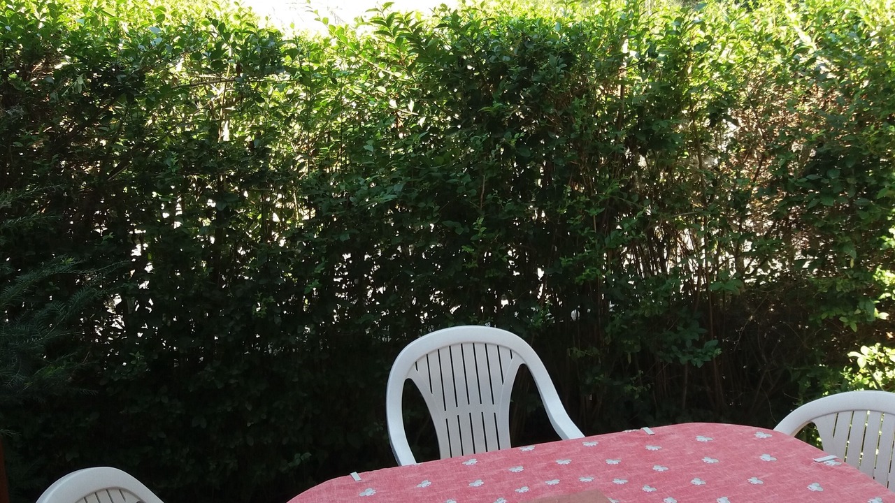 Photo of Outdoor in Badacsony