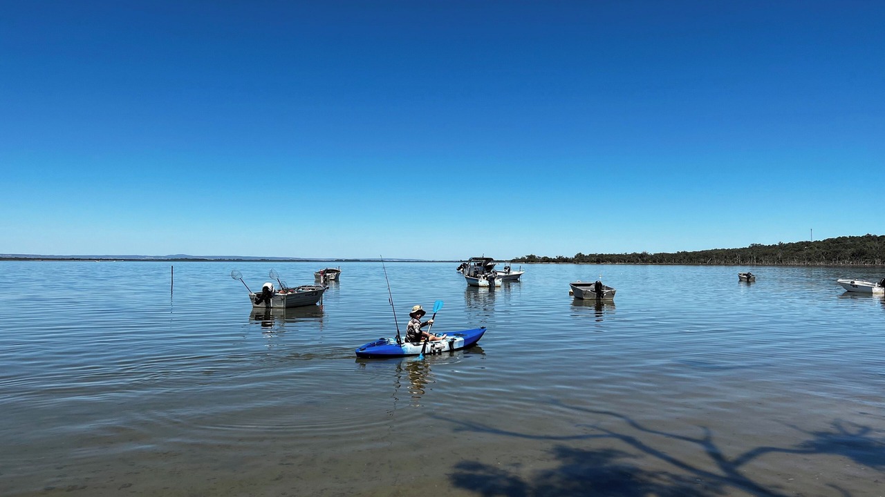 Photo of Others in Herron