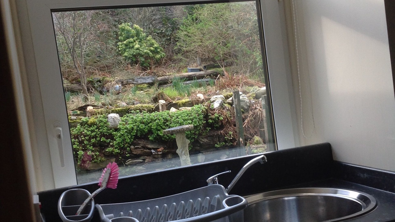 Photo of Others in Kilmun