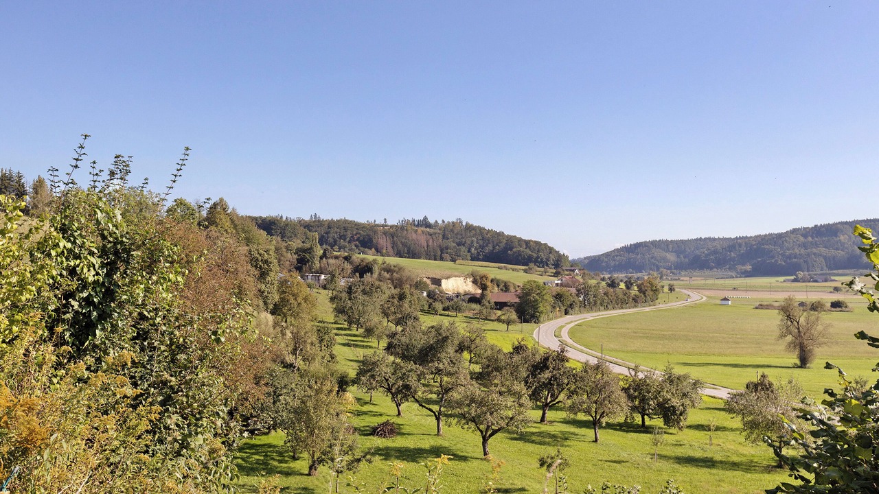 Photo of Others in Stockach