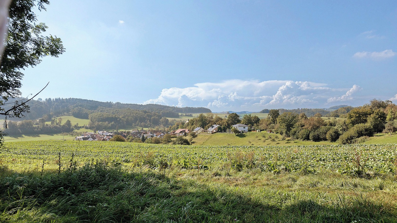 Photo of Others in Stockach