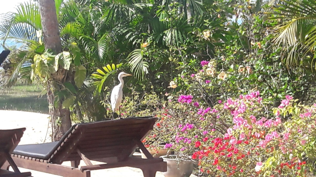 Photo of Outdoor in Ranna