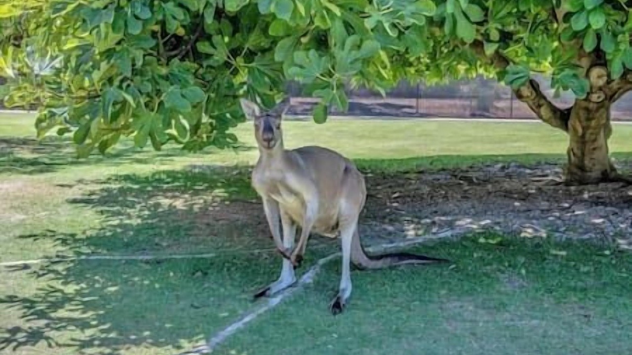 Photo of Others in Preston Beach