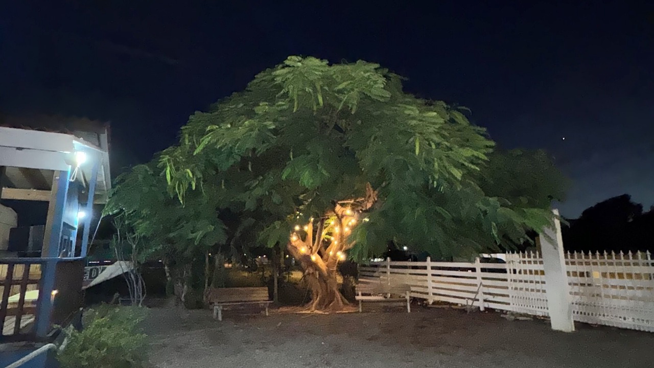 Photo of Outdoor in Cabo Rojo