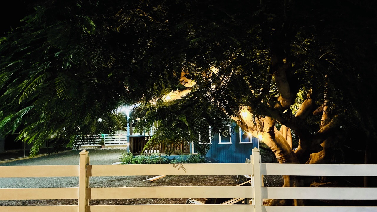 Photo of Outdoor in Cabo Rojo