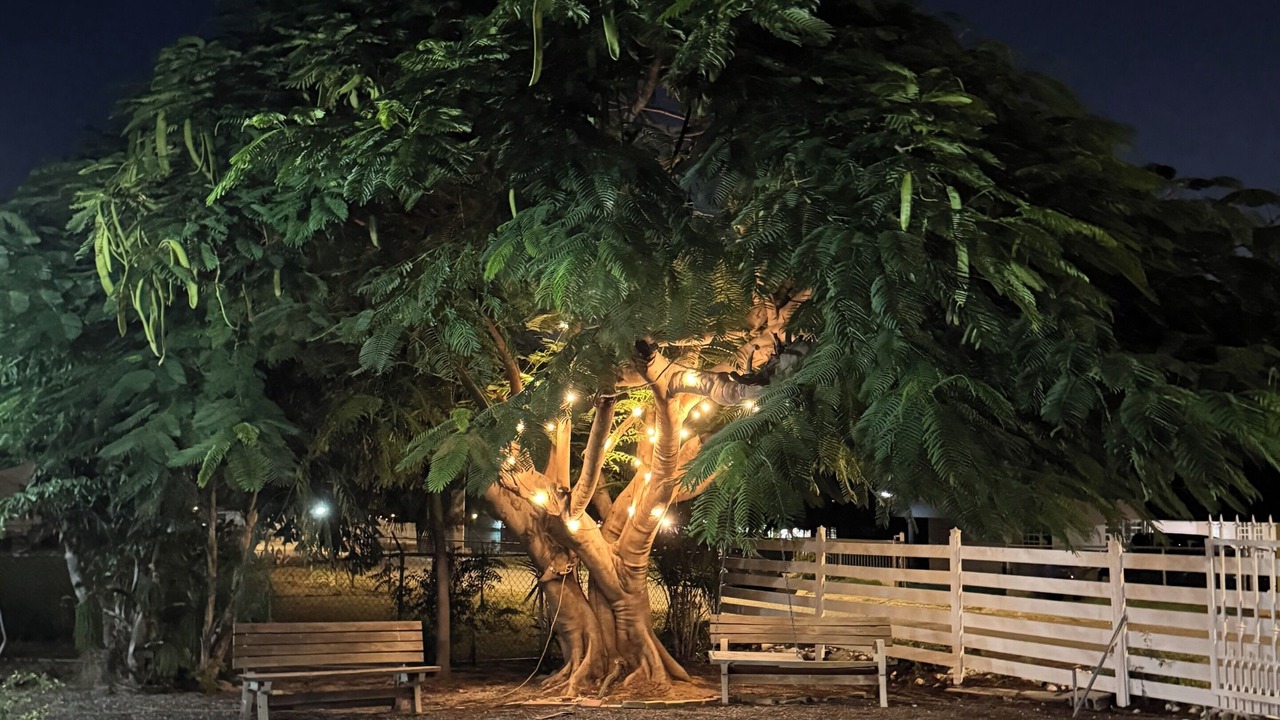 Photo of Others in Cabo Rojo
