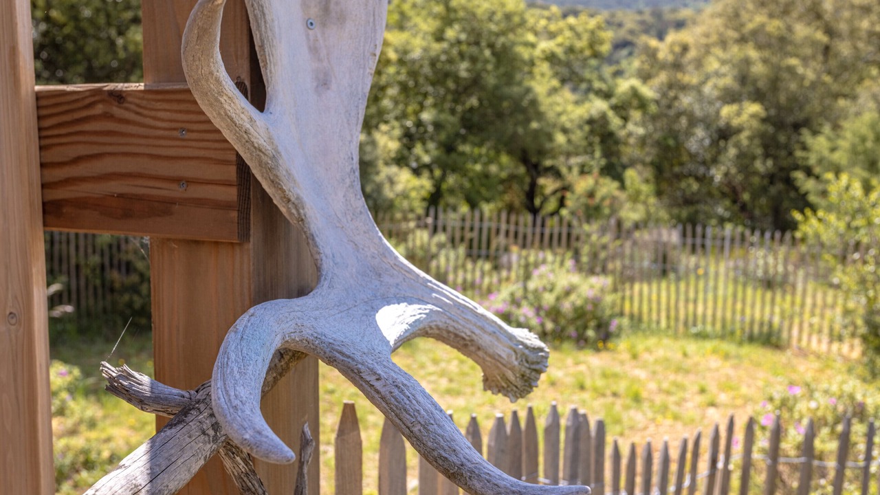 Photo of Outdoor in Rouffiac-des-Corbieres